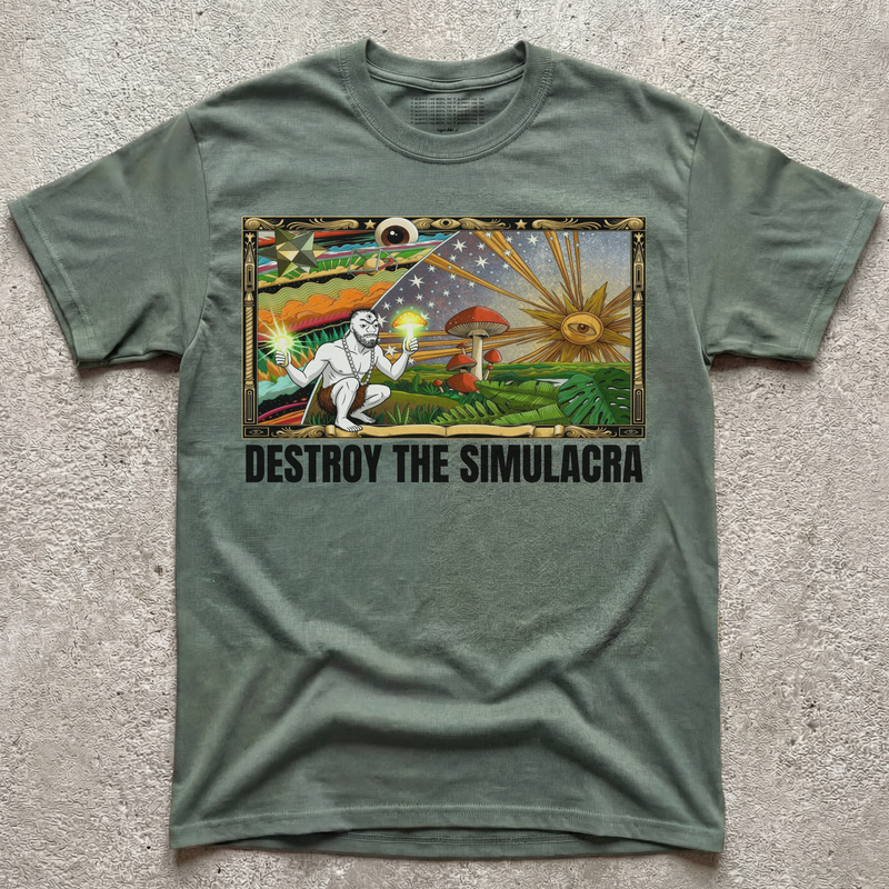 DESTROY THE SIMULACRA