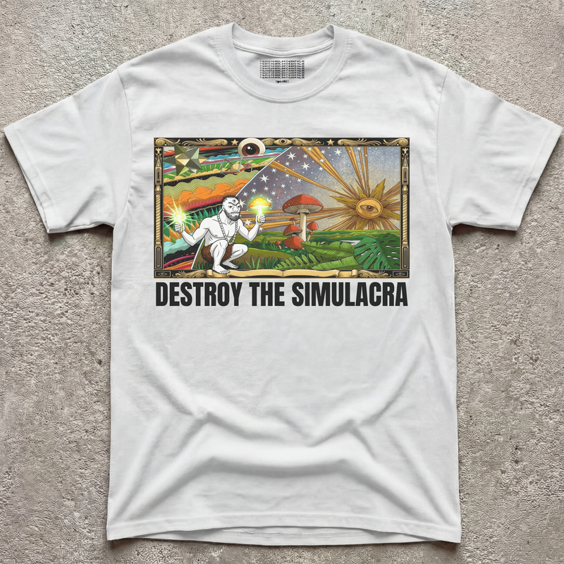 DESTROY THE SIMULACRA