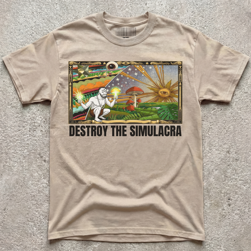 DESTROY THE SIMULACRA