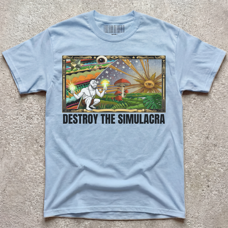 DESTROY THE SIMULACRA