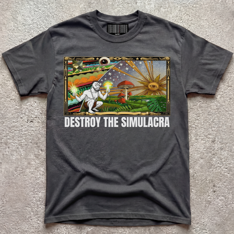 DESTROY THE SIMULACRA