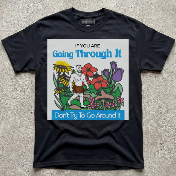 GO THROUGH V2
