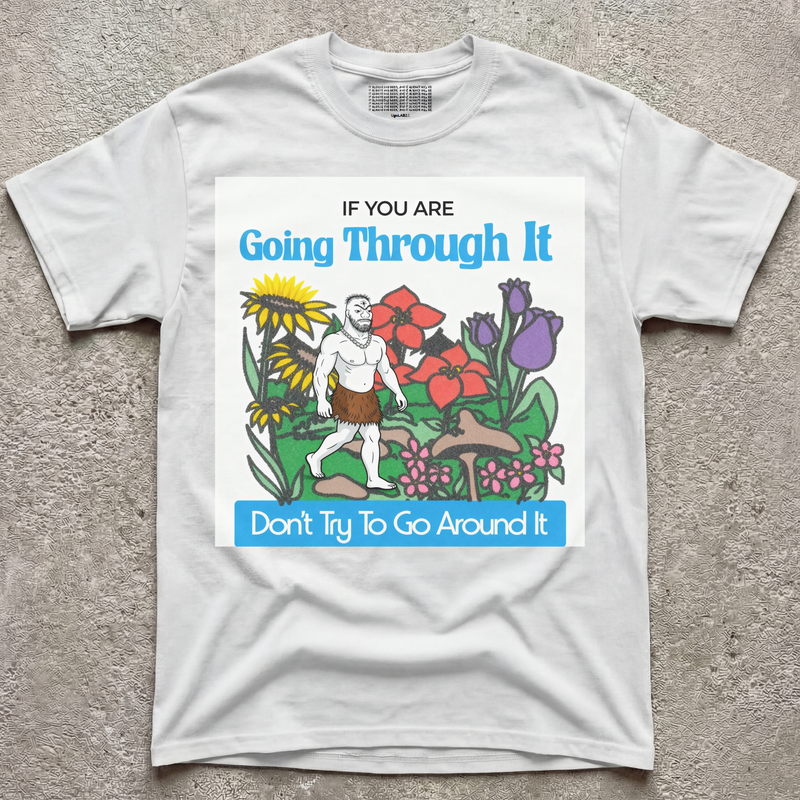 GO THROUGH V2