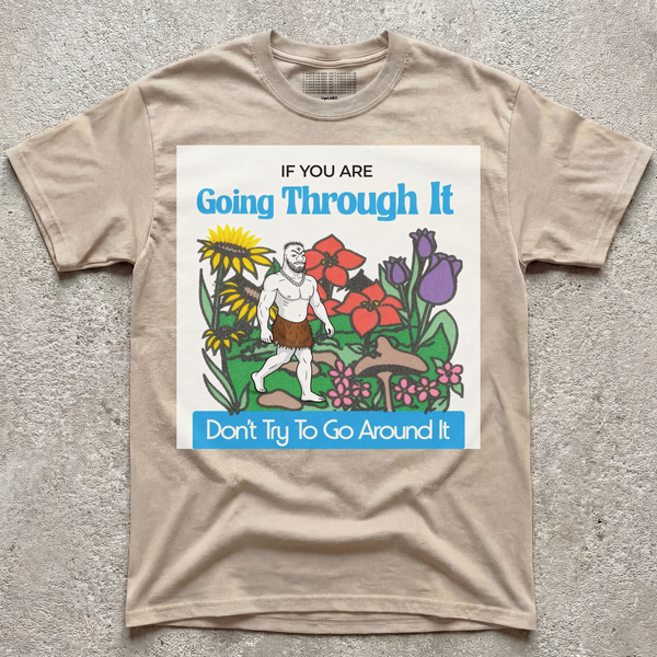 GO THROUGH V2