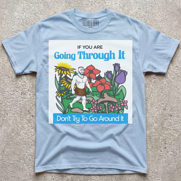 GO THROUGH V2