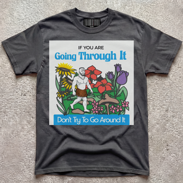 GO THROUGH V2